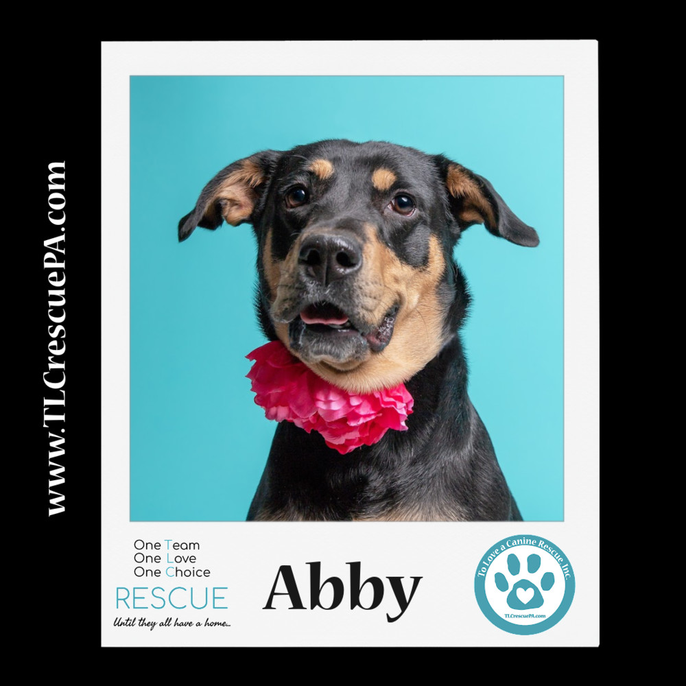 Abby 110423