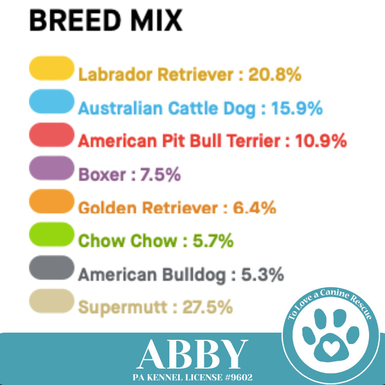 Abby (Mom to the Brindle Boos) 110423
