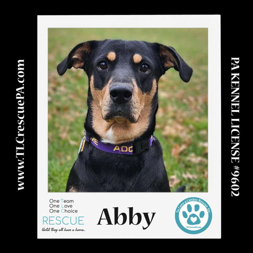 Abby 110423