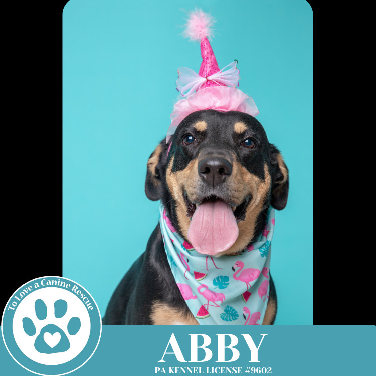 Abby (Mom to the Brindle Boos) 110423
