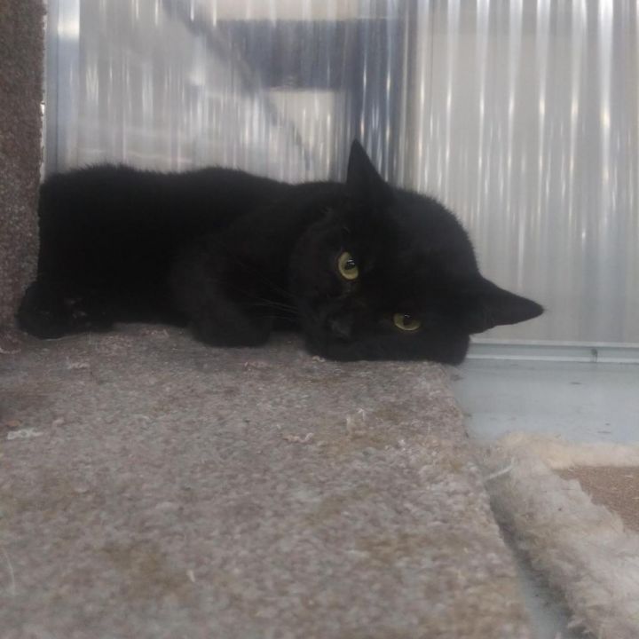 Blackjack 2