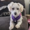 Winnie