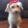 Winnie