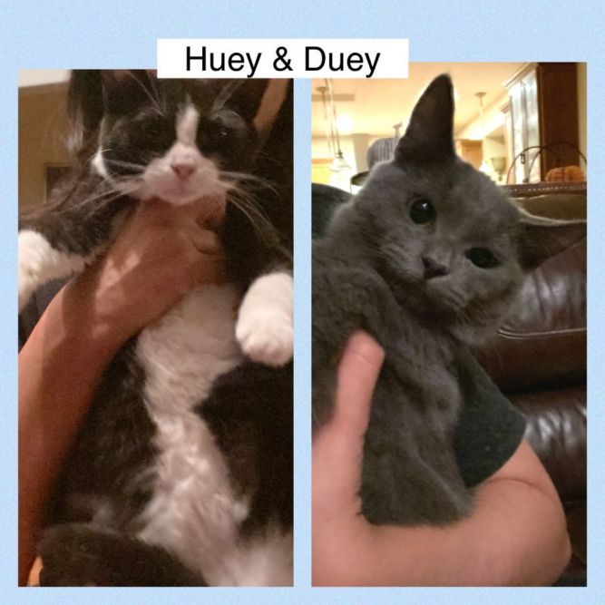 Huey & Duey