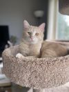 Snail - Pending Adoption