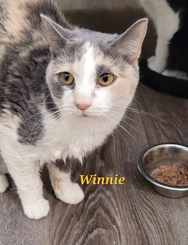 Winnie detail page