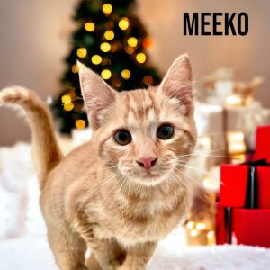 Meeko