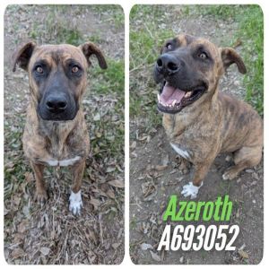 AZEROTH
