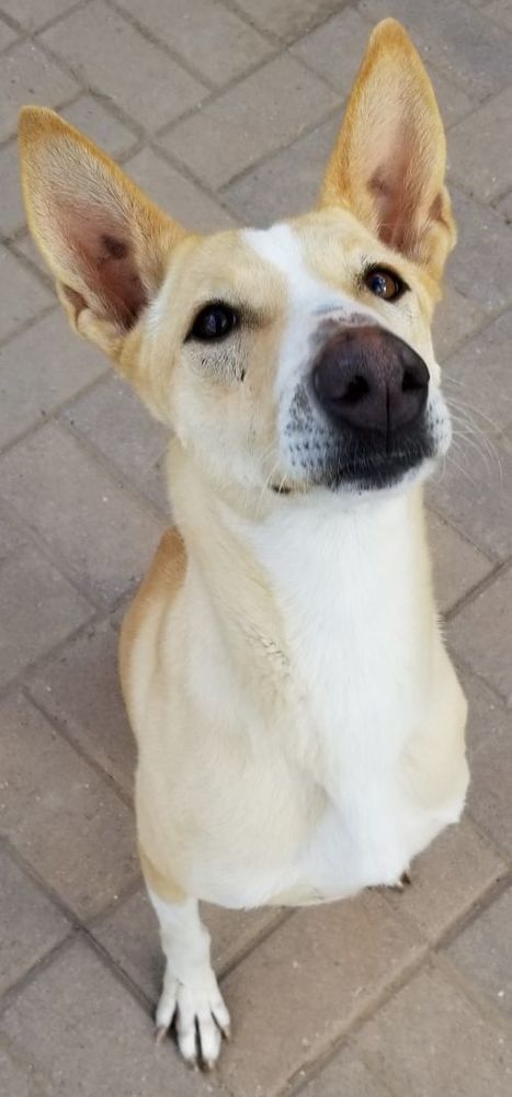 Tinkerbell thumbnail 6