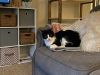 Poppy Cat photo 2