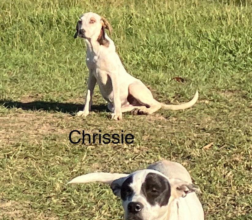 Chrissie