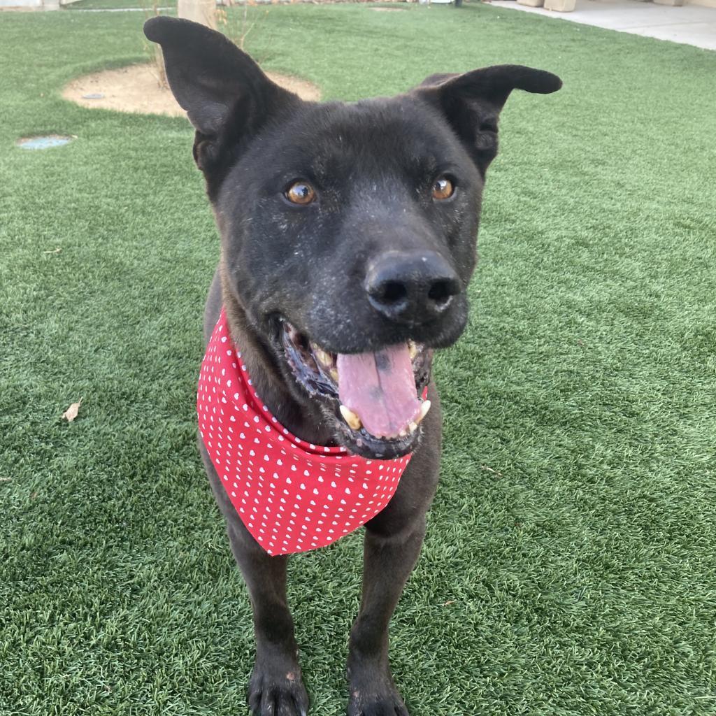 Bruce A5021376