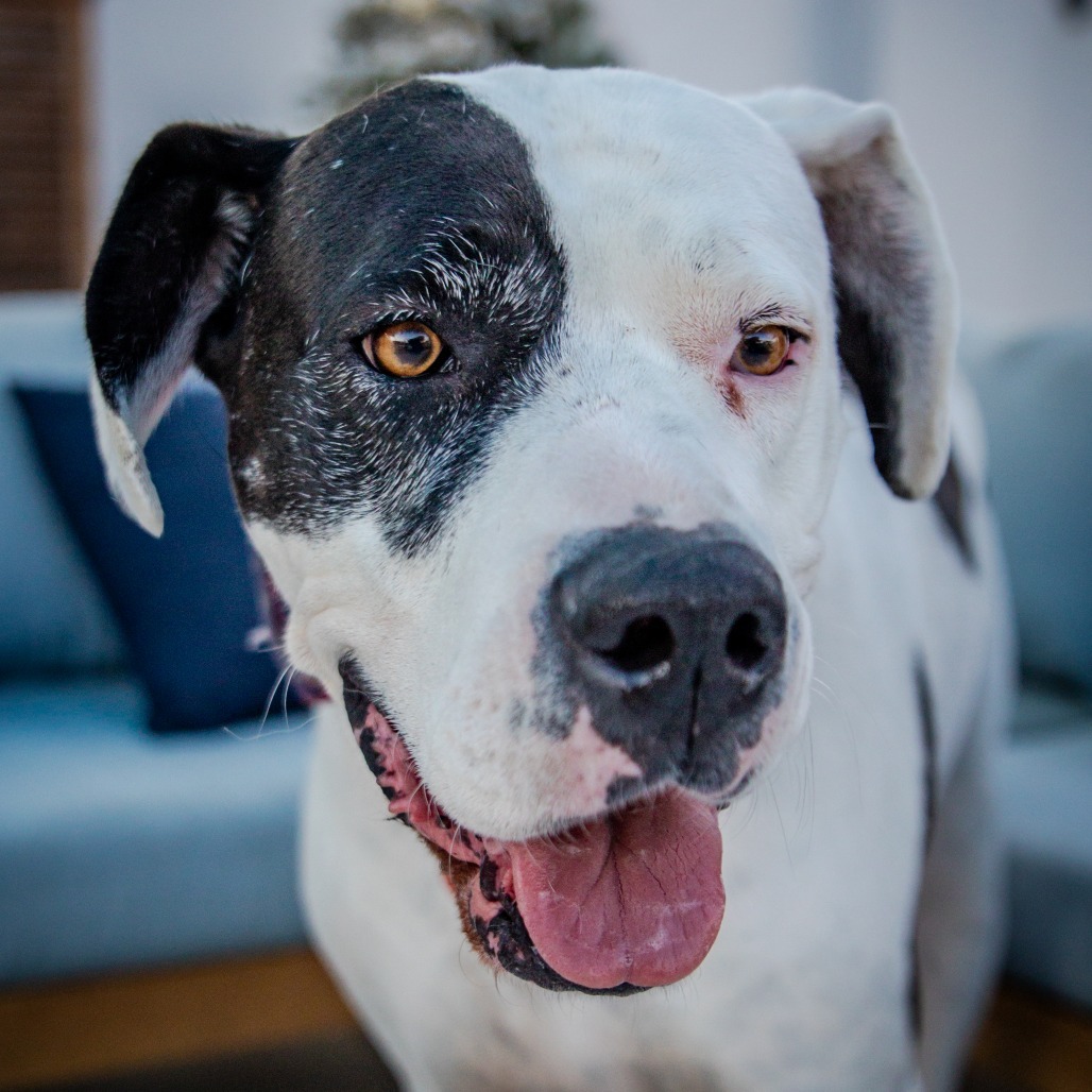 Zena A2019230