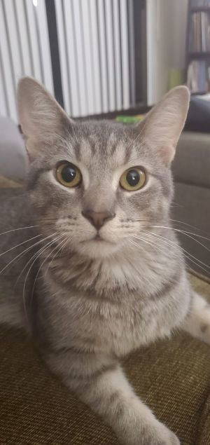 Ray