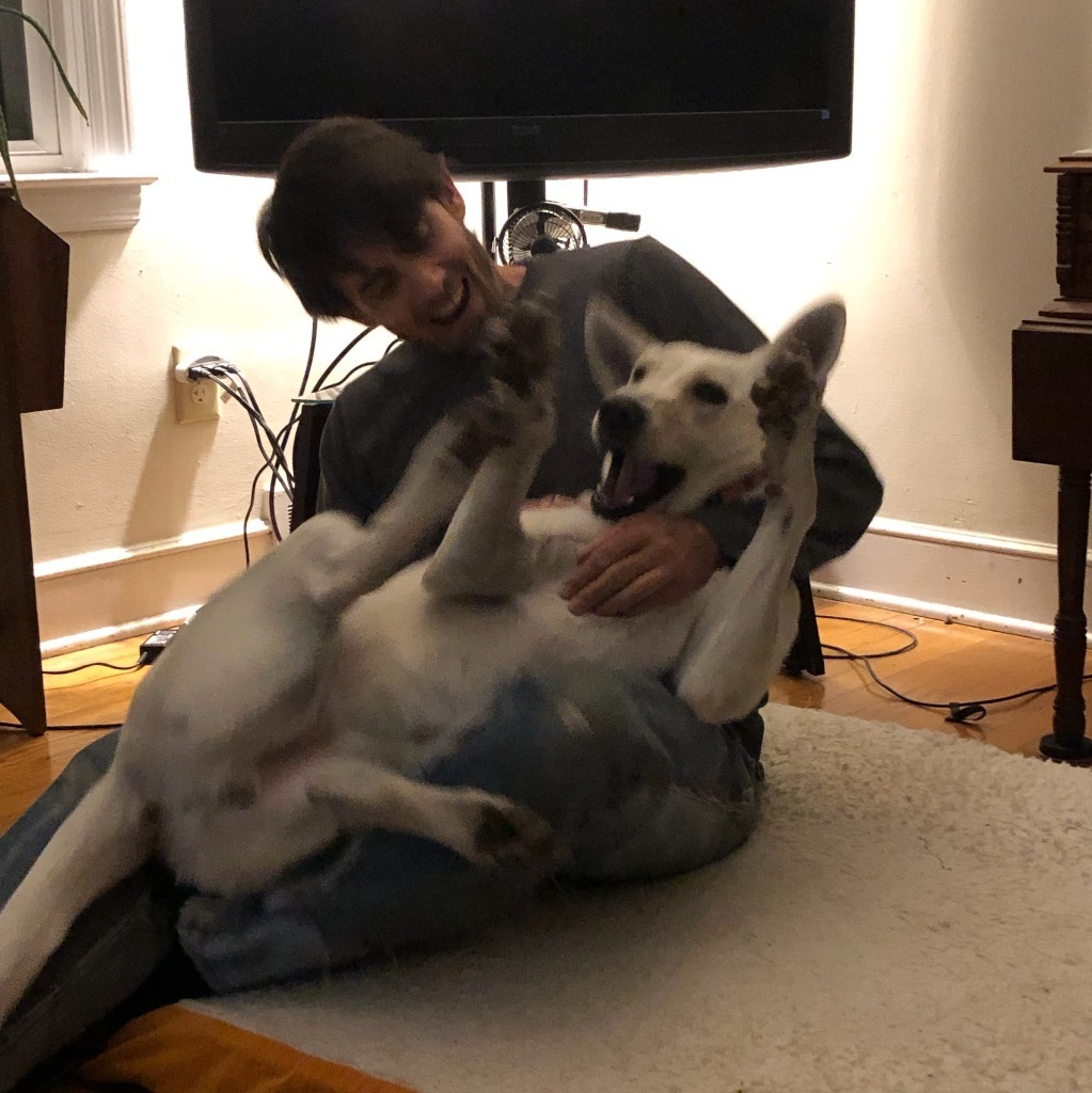 She-Ra *Sponsored Adoption, an adoptable Shepherd in Christiansburg, VA, 24073 | Photo Image 5