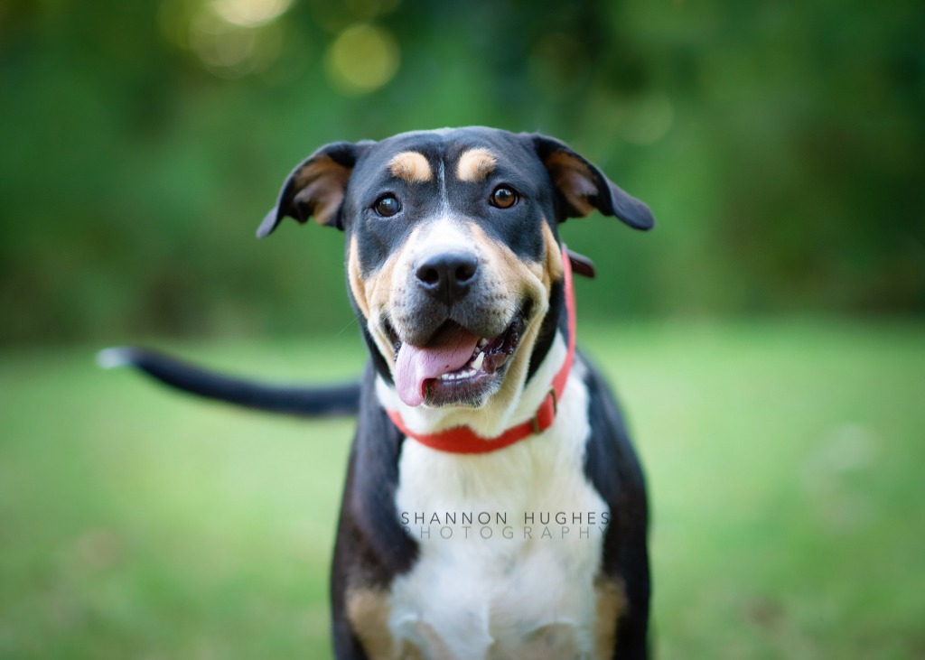Sheila aka Havoc
