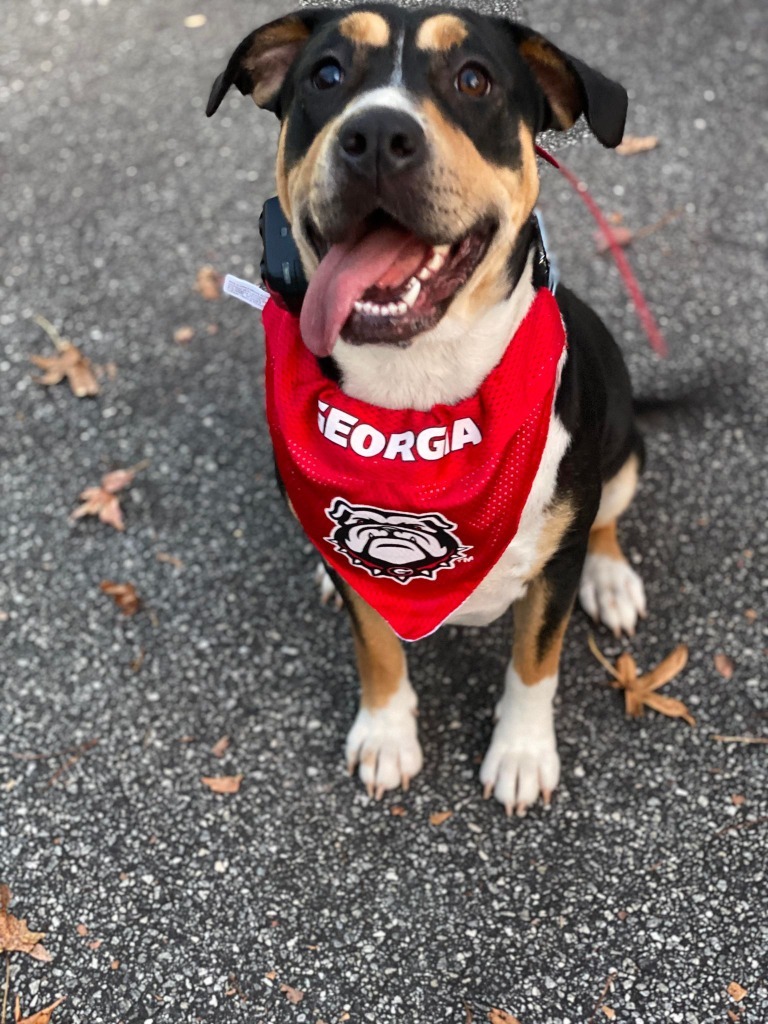 Sheila aka Havoc