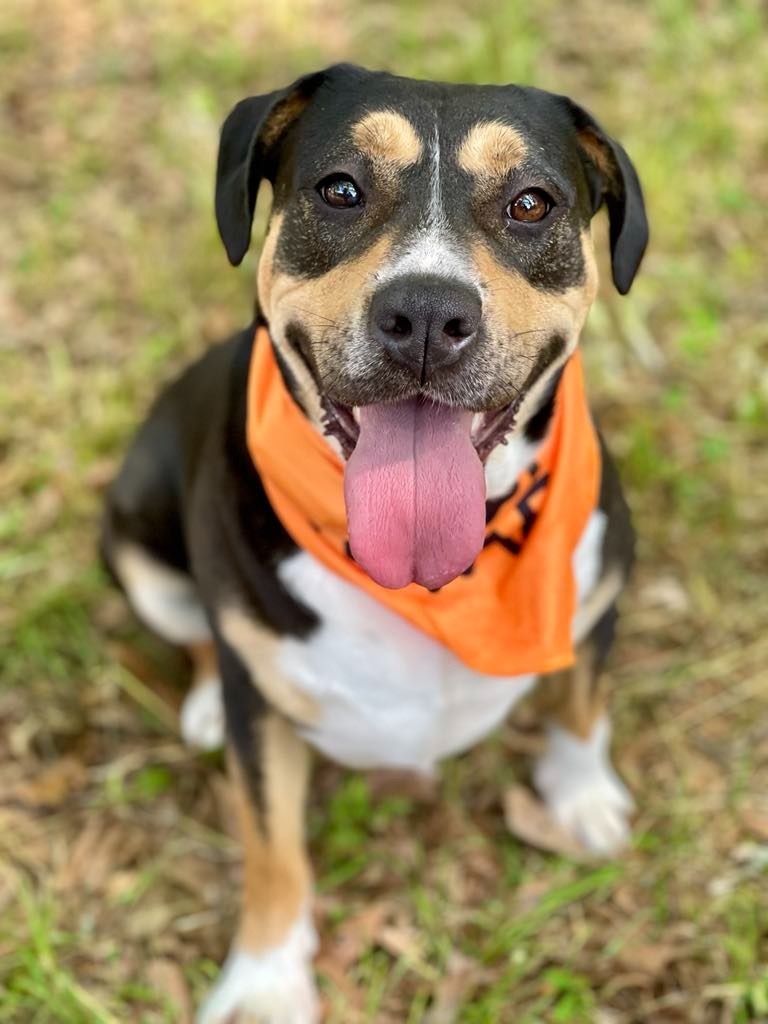 Sheila aka Havoc