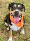 Sheila aka Havoc photo 5