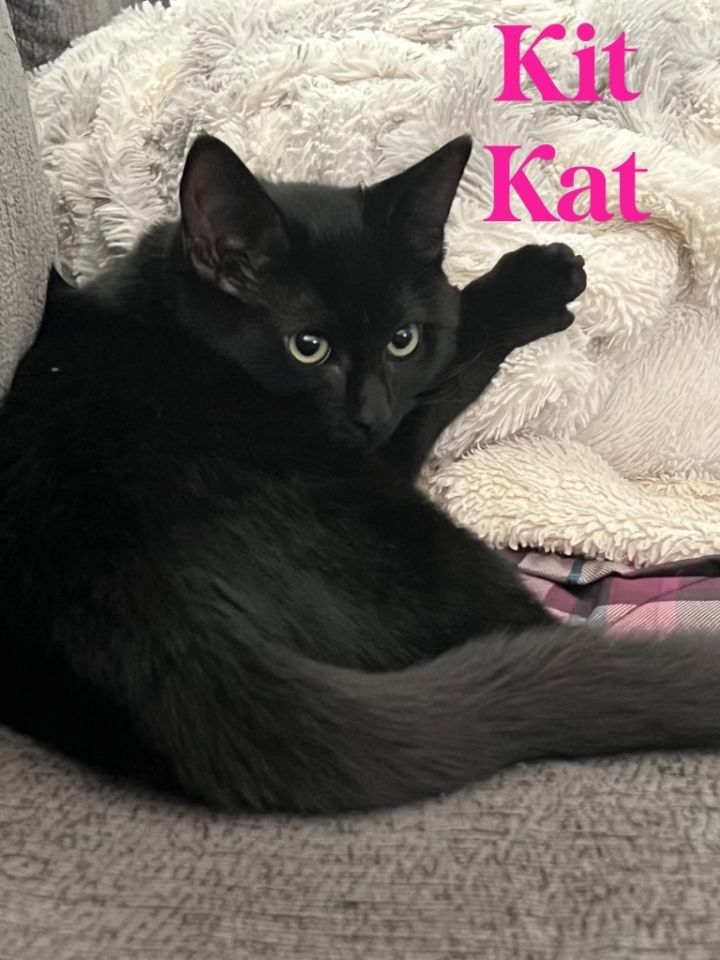 Kit Kat 4