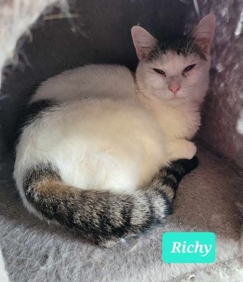 Richy 1