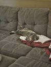 Baboo - No Longer Accepting Applications