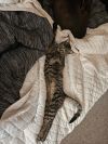 Baboo - No Longer Accepting Applications