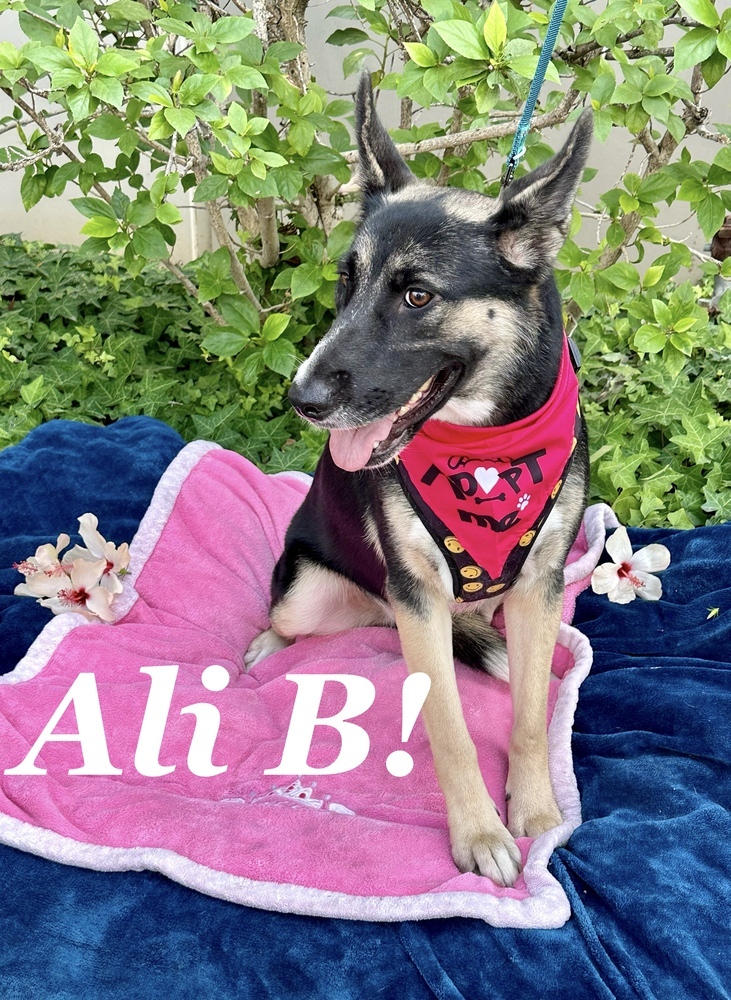 Ali B
