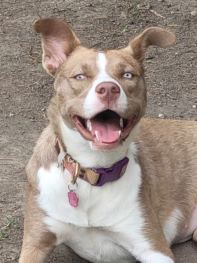 Nala Girl