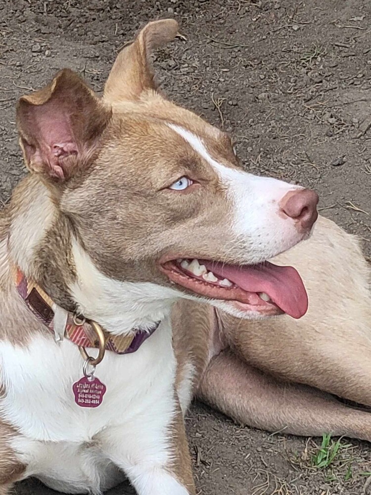 Nala Girl