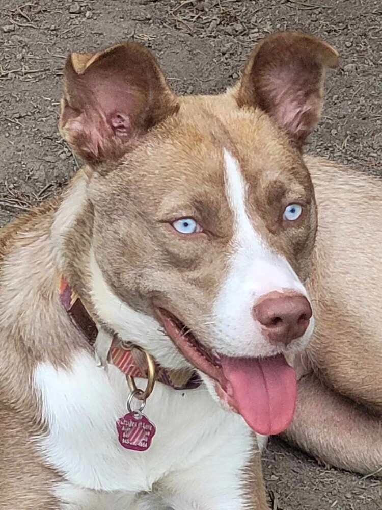 Nala Girl
