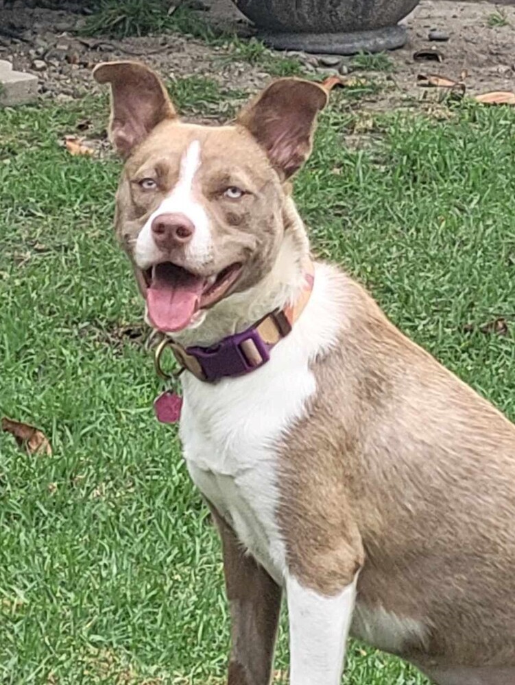 Nala Girl