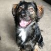 Gus