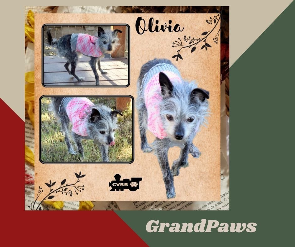 Olivia Grandpaws detail page