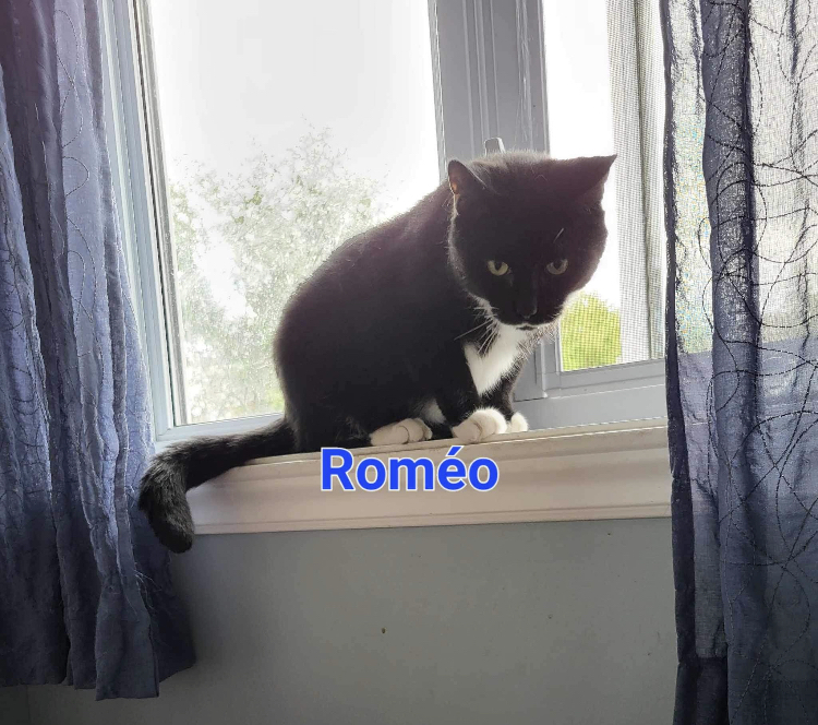 Roméo
