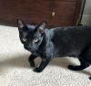Binx