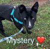 Mystery