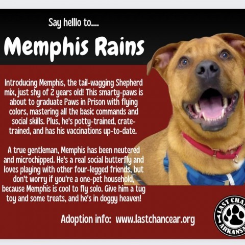 Memphis Rains