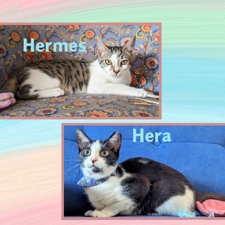 Hermes & Hera 