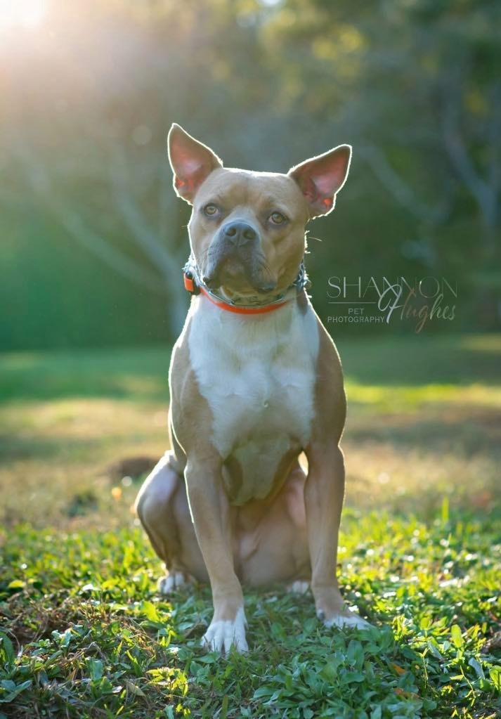 Hilly aka Opal