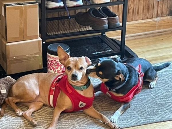 Freddie and Suzie