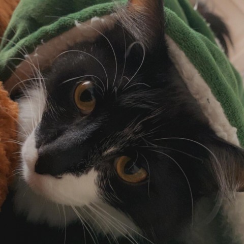 Luna 2