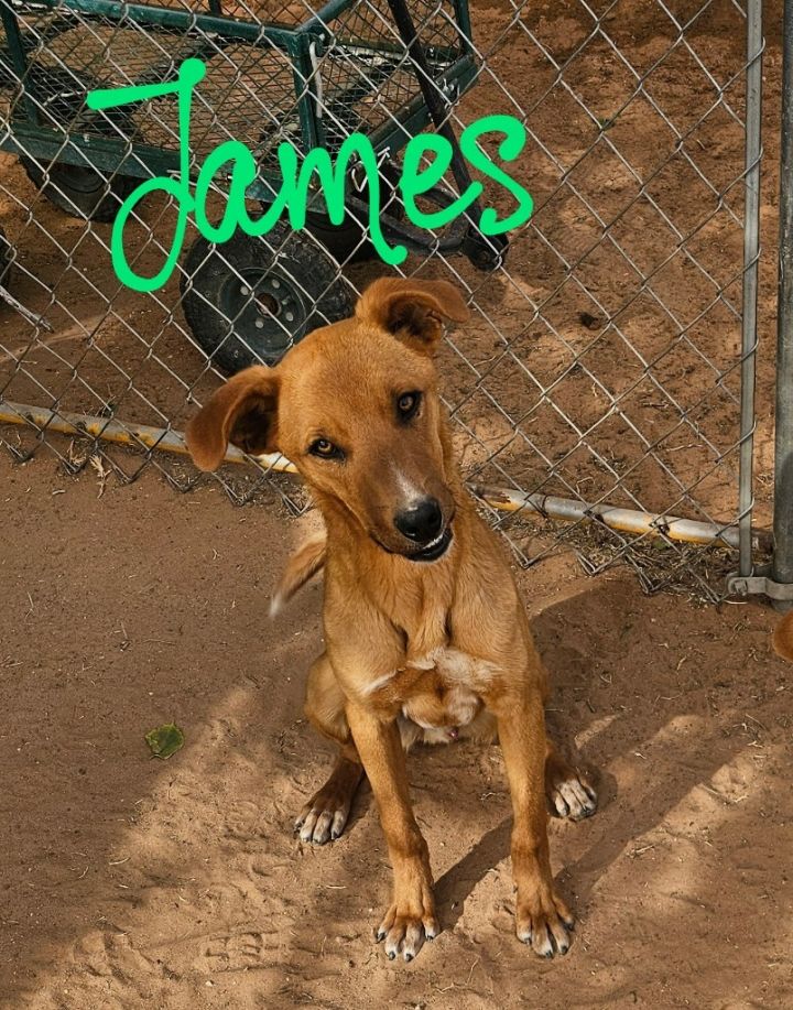 James 1