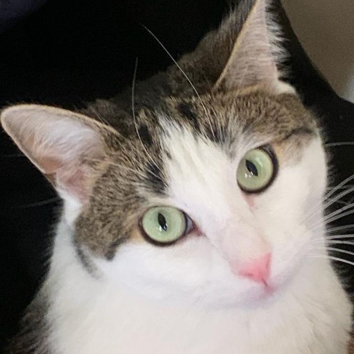 Lilah 2