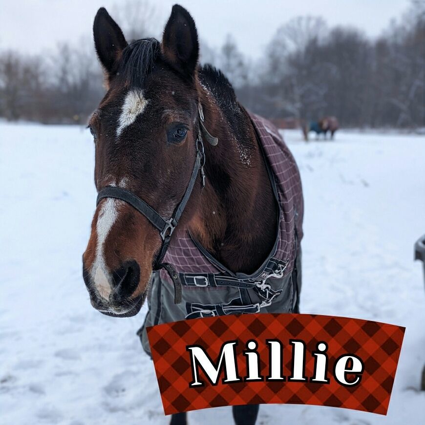 Millie