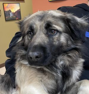 Sam