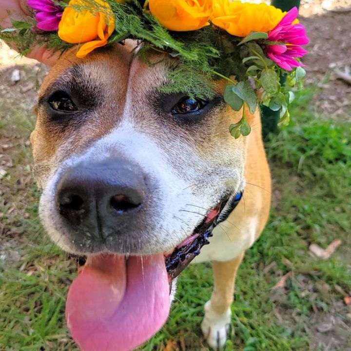 Nala 2