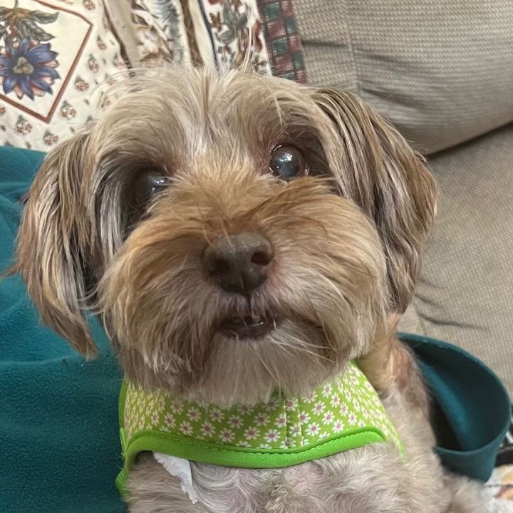 Molly 1