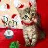 Ben