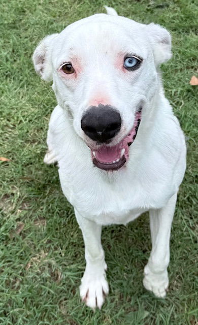 Casper